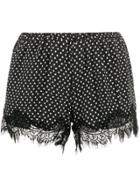 Gold Hawk Star Print Silk Shorts - Black