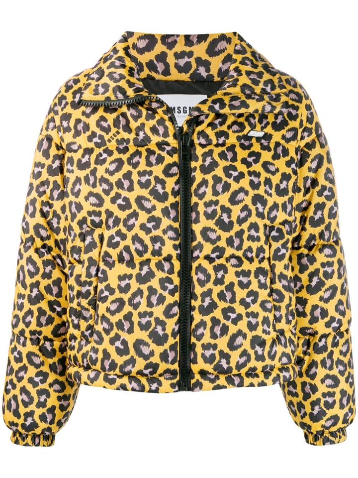 Msgm Leopard-print Puffer Jacket - Yellow