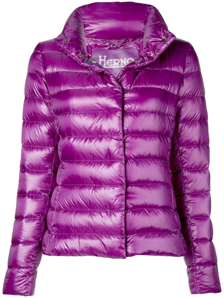 Herno Fitted Padded Jacket - Purple