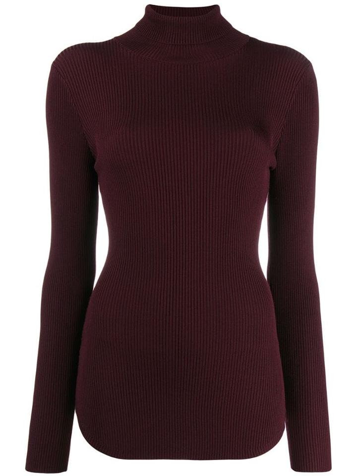 Pinko Ribbed Roll Neck Sweater - Brown