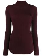 Pinko Ribbed Roll Neck Sweater - Brown