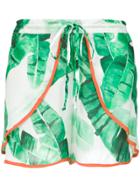 Brigitte Foliage Print Shorts - Green