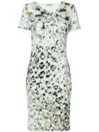 Roberto Cavalli Print Fitted Shift Dress - Green