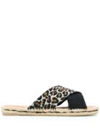 Castañer Paloma Slides - Black