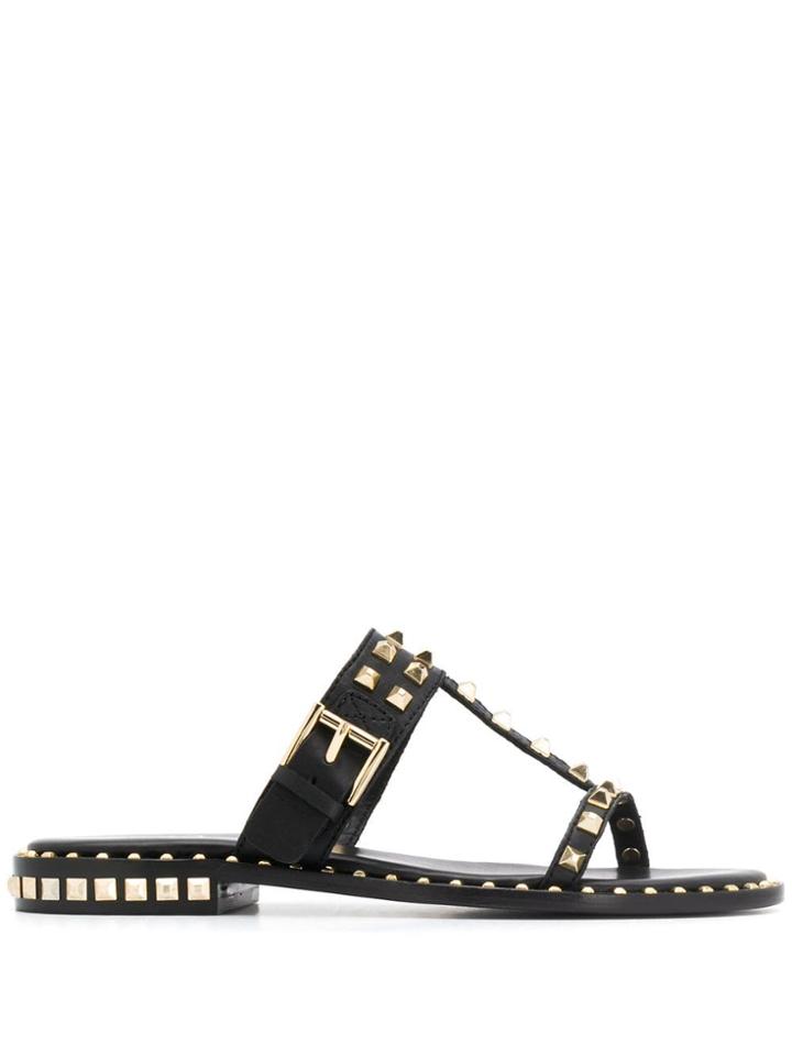 Ash Studded Slides - Black