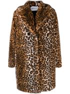 Be Blumarine - Brown