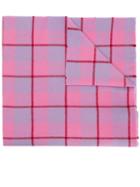 Acne Studios Vichy Check Scarf - Pink