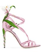 Dolce & Gabbana Kiera Lily-embroidered Sandals - Pink