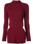 Yang Li Ribbed Torn Hip Turtleneck - Red
