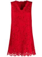 Dolce & Gabbana Lace Swing Dress - Red