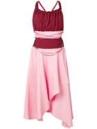 Jw Anderson Asymmetric Midi Dress - Pink & Purple