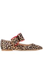 Polly Plume Pointed Tip Ballerina Shoes - Neutrals