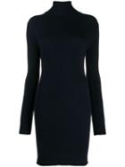 Sportmax Turtle-neck Fitted Dress - Blue