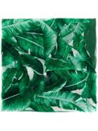 Dolce & Gabbana Banana Leaf Print Scarf, Women's, Green, Silk