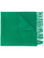 Begg & Co Fringed Cashmere Scarf - Green