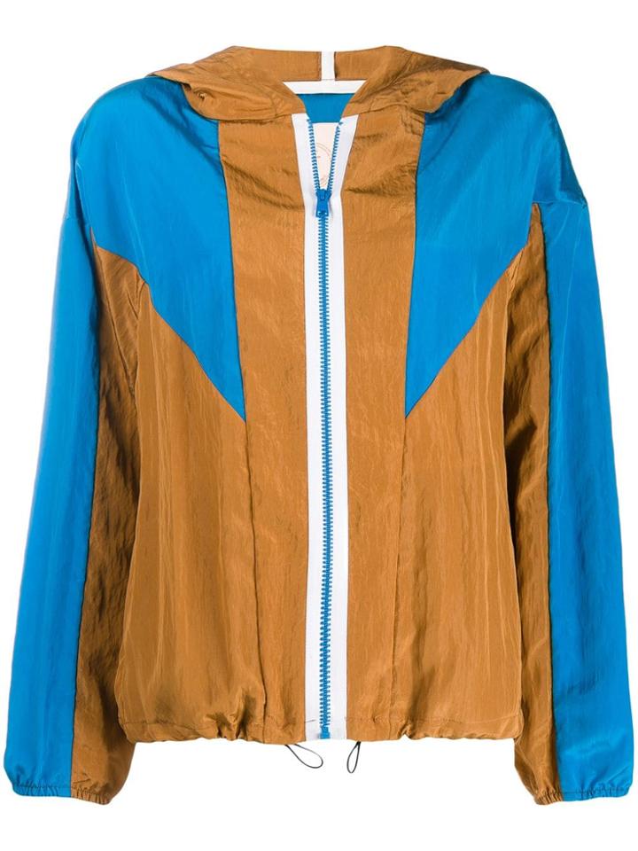 Tela Hooded Sports Jacket - Brown