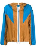 Tela Hooded Sports Jacket - Brown