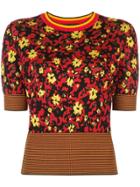 Proenza Schouler Floral Striped Trim Top - Black