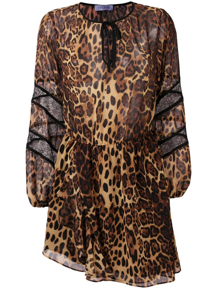 Gaelle Bonheur Leopard Print Asymmetric Dress - Brown