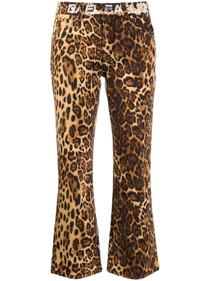 Gaelle Bonheur Leopard Flare Trousers - Brown