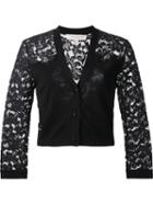 Carolina Herrera Lace Sleeve Cardigan, Women's, Size: Medium, Black, Cotton/nylon/viscose/virgin Wool