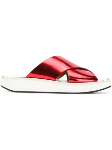 Flamingos Flat Sole Slippers - Red