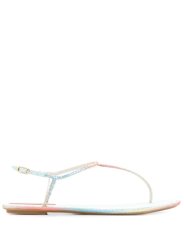 René Caovilla Strapped Sandals - Pink