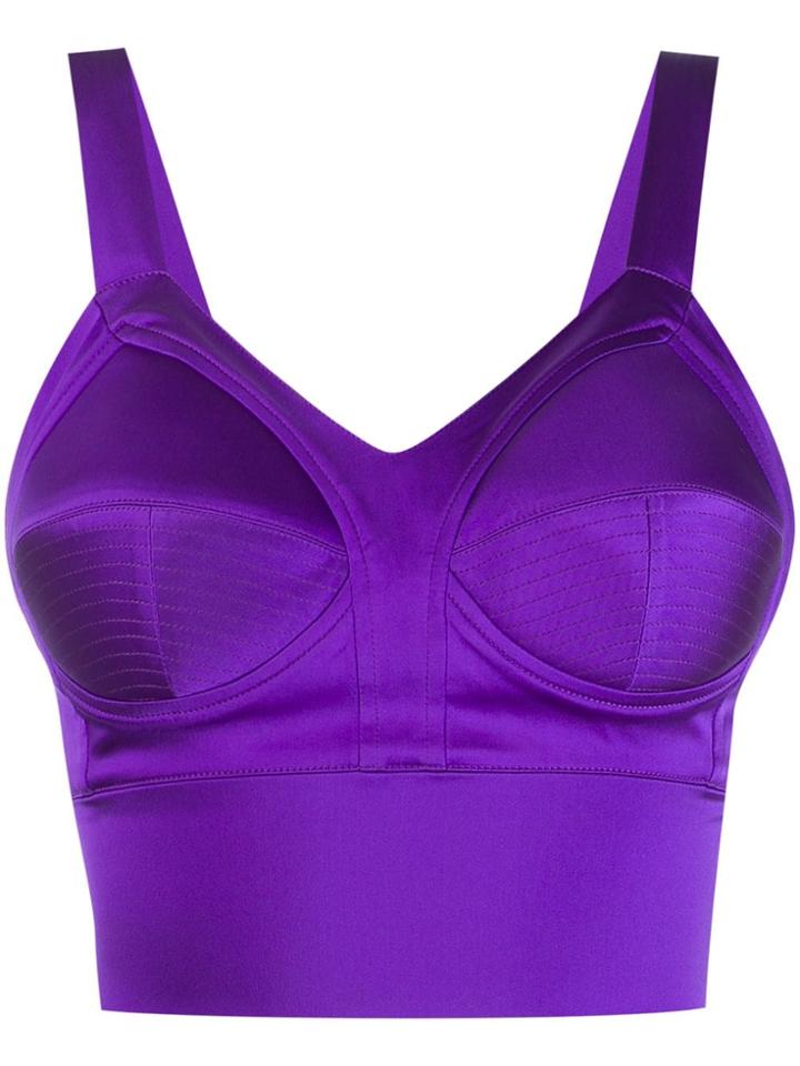 Murmur Cropped Bustier Top - Purple