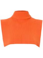 Gloria Coelho Knit Turtle Neck - Orange