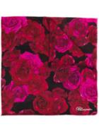 Blumarine Rose Print Scarf - Pink