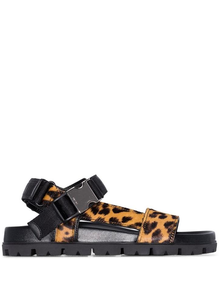 Prada Leopard Print Touch-strap Sandals - Brown