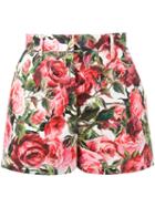 Dolce & Gabbana - Rose Print Shorts - Women - Cotton - 40, Women's, Pink/purple, Cotton