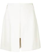 Delpozo High-waisted A-line Skirt - Neutrals