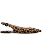 Gianvito Rossi Leopard Print Calf Hair Slingback Flats - Black