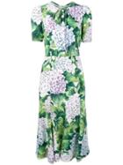 Dolce & Gabbana - Kate Hydrangea Print Dress - Women - Silk/viscose - 38, Green, Silk/viscose