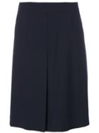 Etro A-line Skirt - Blue