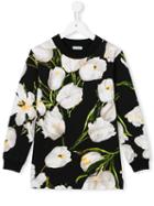 Dolce & Gabbana Kids Tulip Print Sweatshirt, Girl's, Size: 8 Yrs, Black