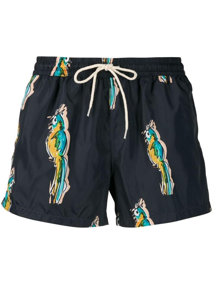 Nos Beachwear Parrot Print Swim Shorts - Blue