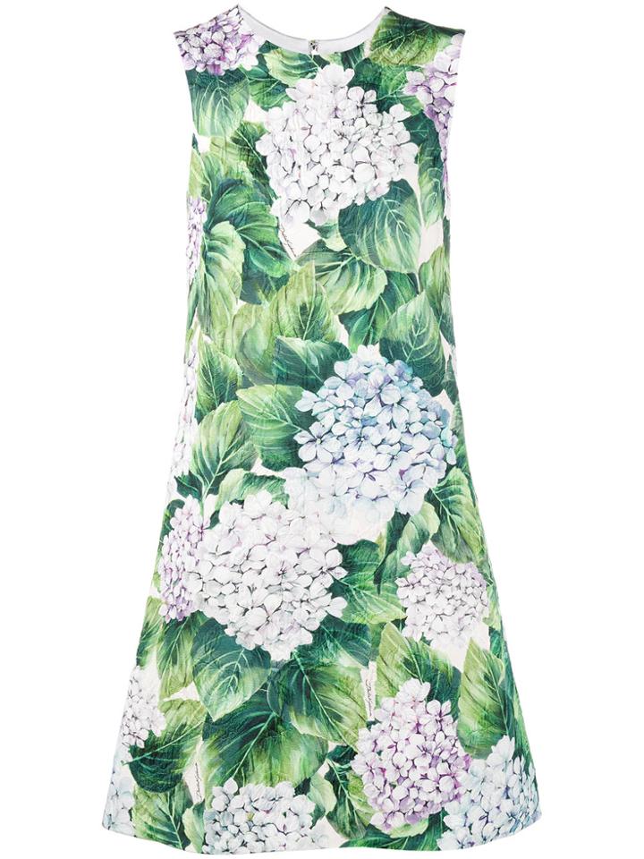 Dolce & Gabbana Sleeveless Hydrangea Print Dress - Green