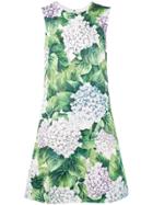 Dolce & Gabbana Sleeveless Hydrangea Print Dress - Green