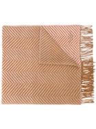 Mulberry - Brown