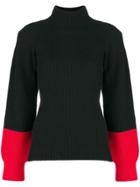 Eudon Choi Colourblock Turtleneck Sweater - Black