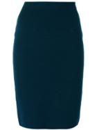 D.exterior Midi Straight Skirt - Blue
