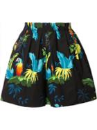 Marc Jacobs Parrots Print Shorts, Women's, Size: 2, Cotton/spandex/elastane
