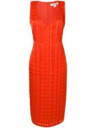 Diane Von Furstenberg Fitted Midi Dress - Yellow