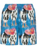 Timo Trunks Timo Prnt Drws Swm Trnks Multi - Blue