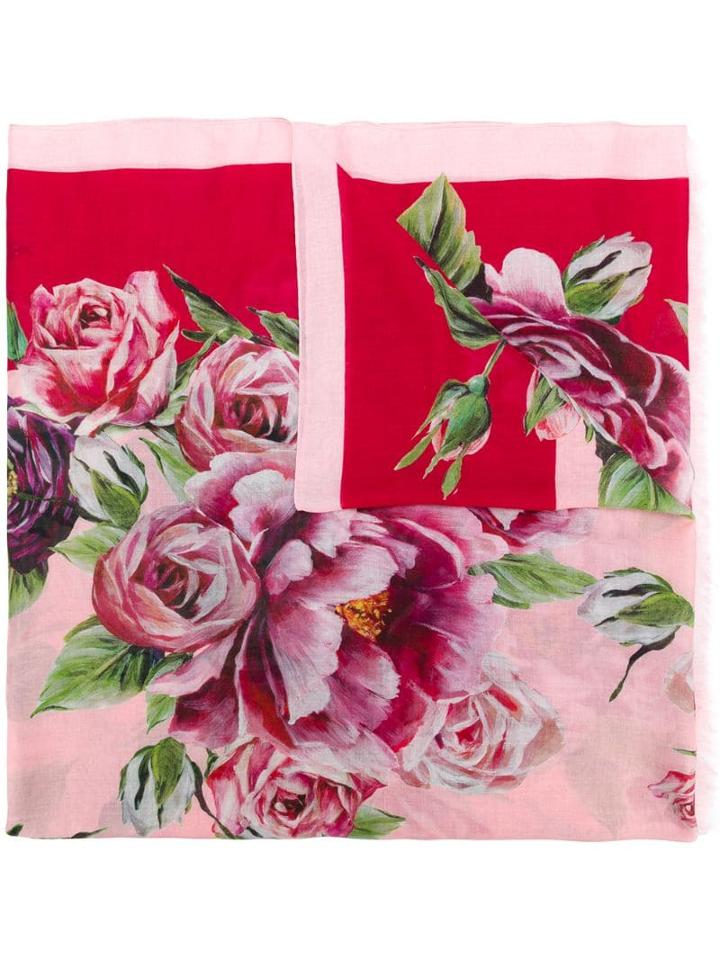 Dolce & Gabbana Peonie Print Scarf - Pink