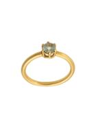 Irene Neuwirth 18kt Yellow Gold Brilliant Cut Fine Aquamarine Ring