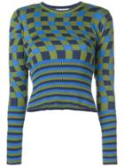Molly Goddard Checked Fitted Jumper - Green