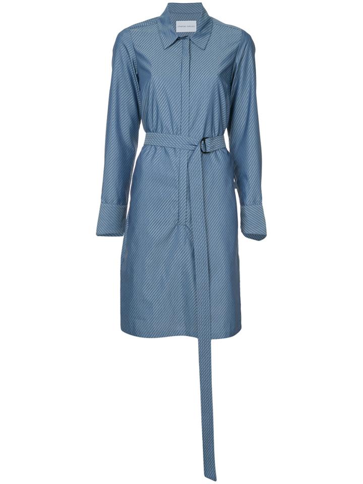 Strateas Carlucci Hybrid Striped Shirt Dress - Blue